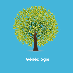 Généalogie Silvestre